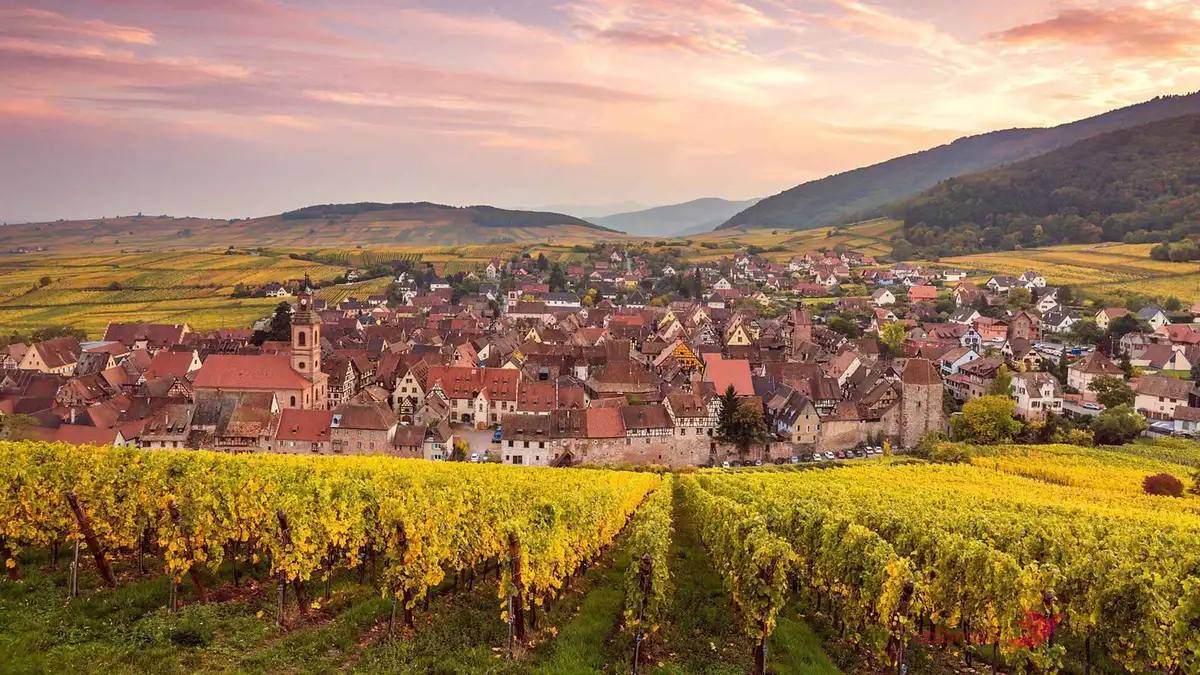 An Alsace wine village of red roofs among autumn vineyards at the foot of the Vosges hills at sunset