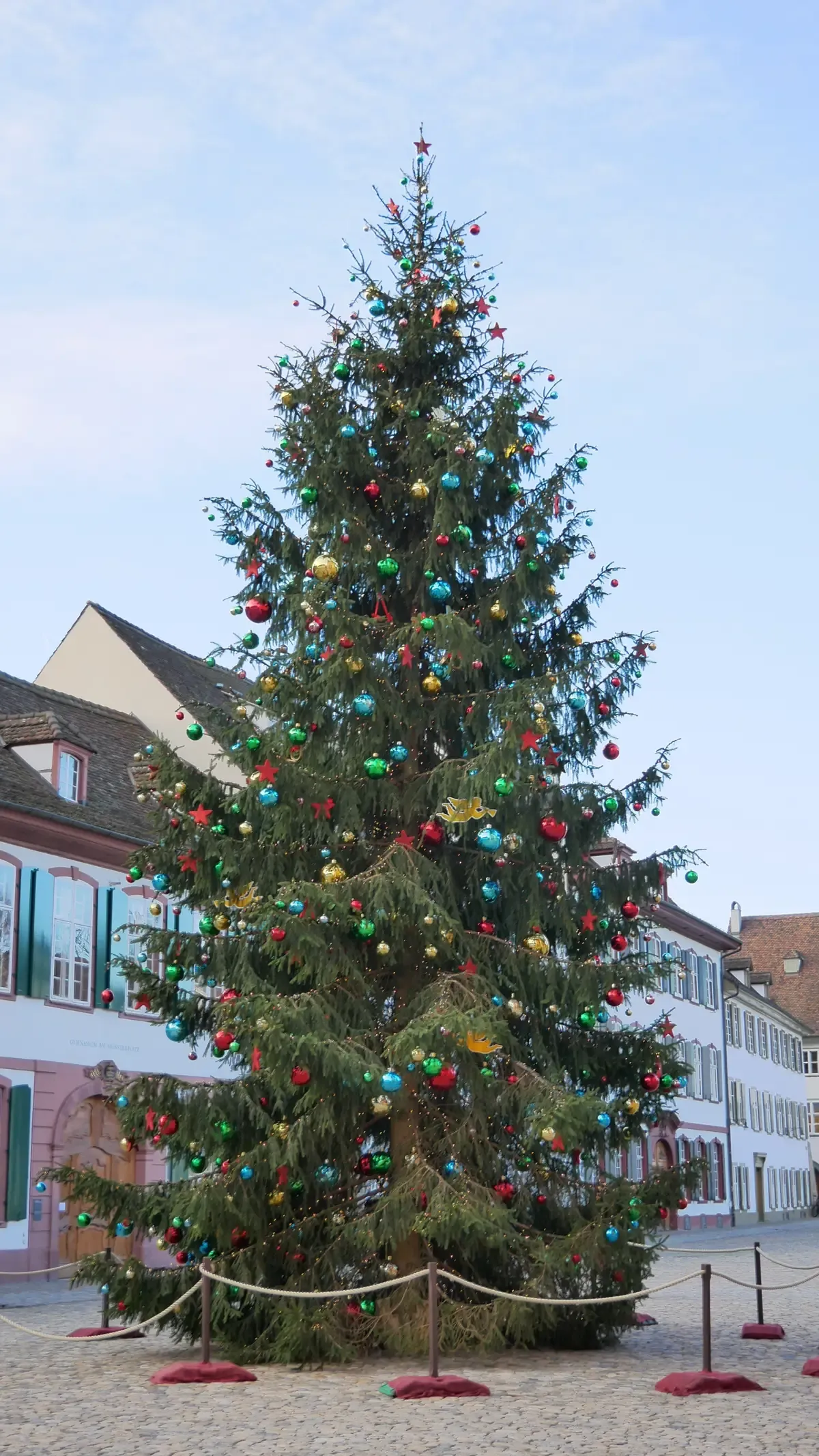Large decorated Christmas tree on Münsterplatz in Basel
