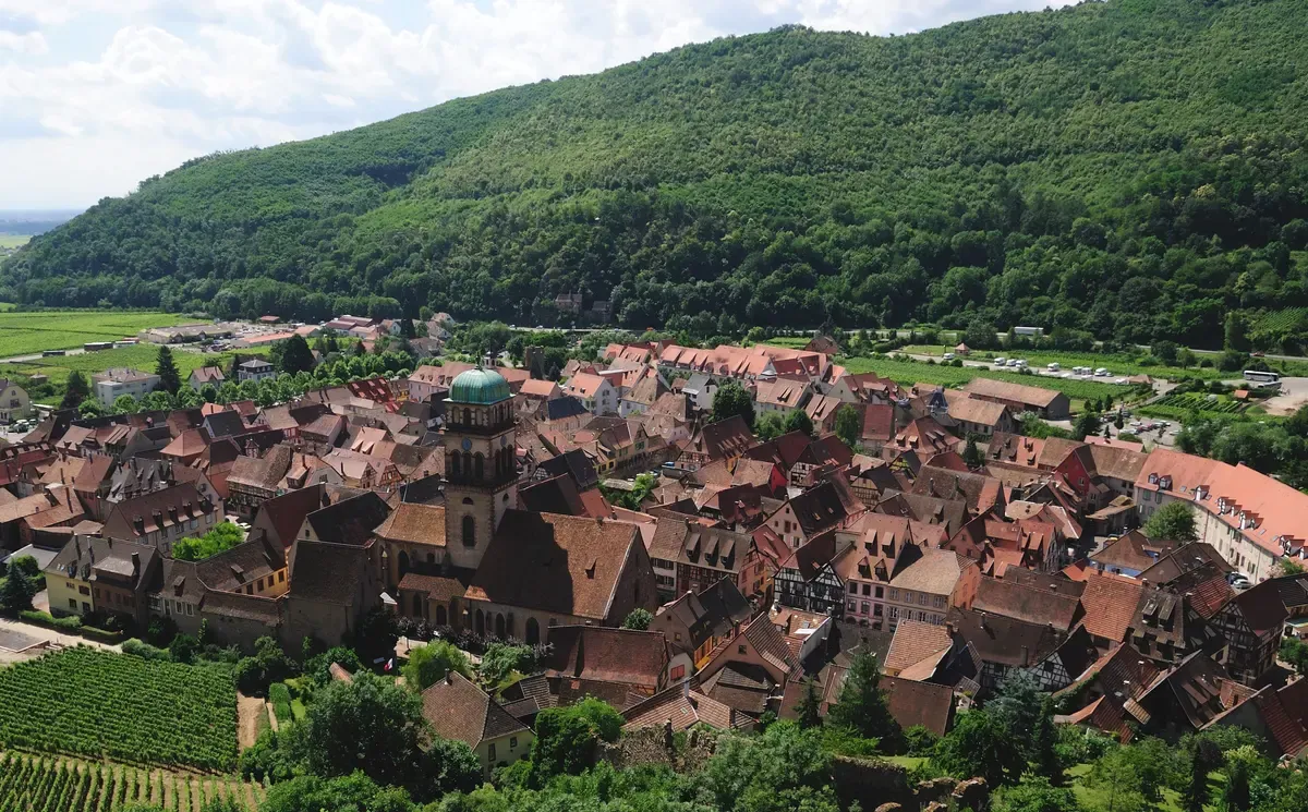 Rooftops of Kaysersberg seen from above with vineyards and wooded hills behind