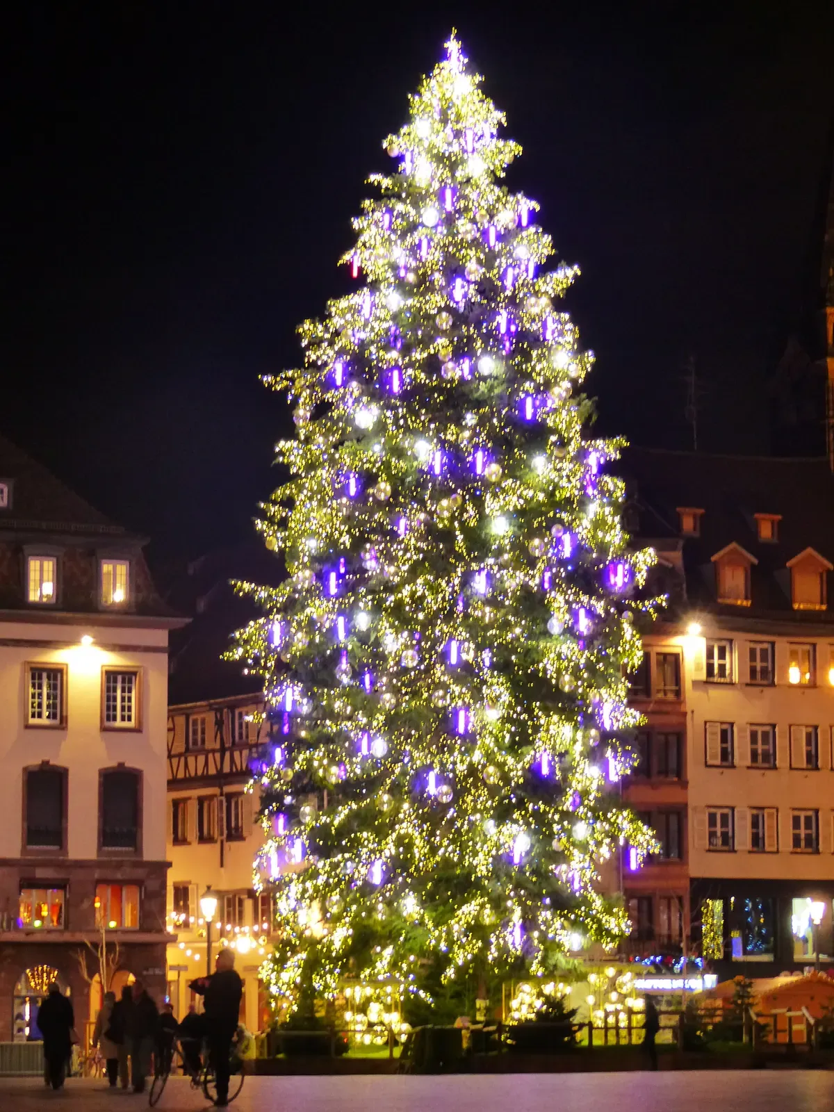 Illuminated Christmas tree on Place Kléber in Strasbourg at night